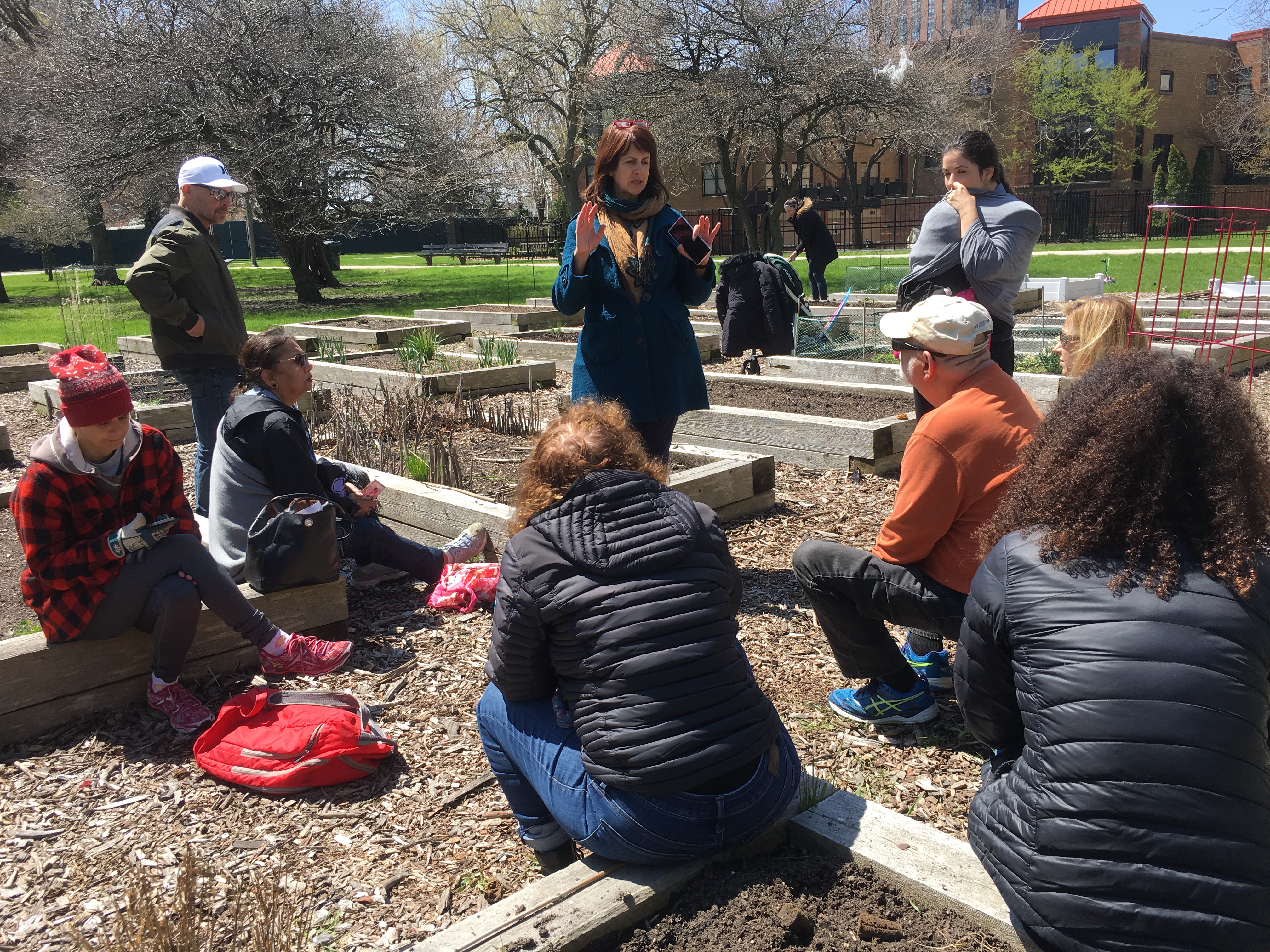 community garden plots